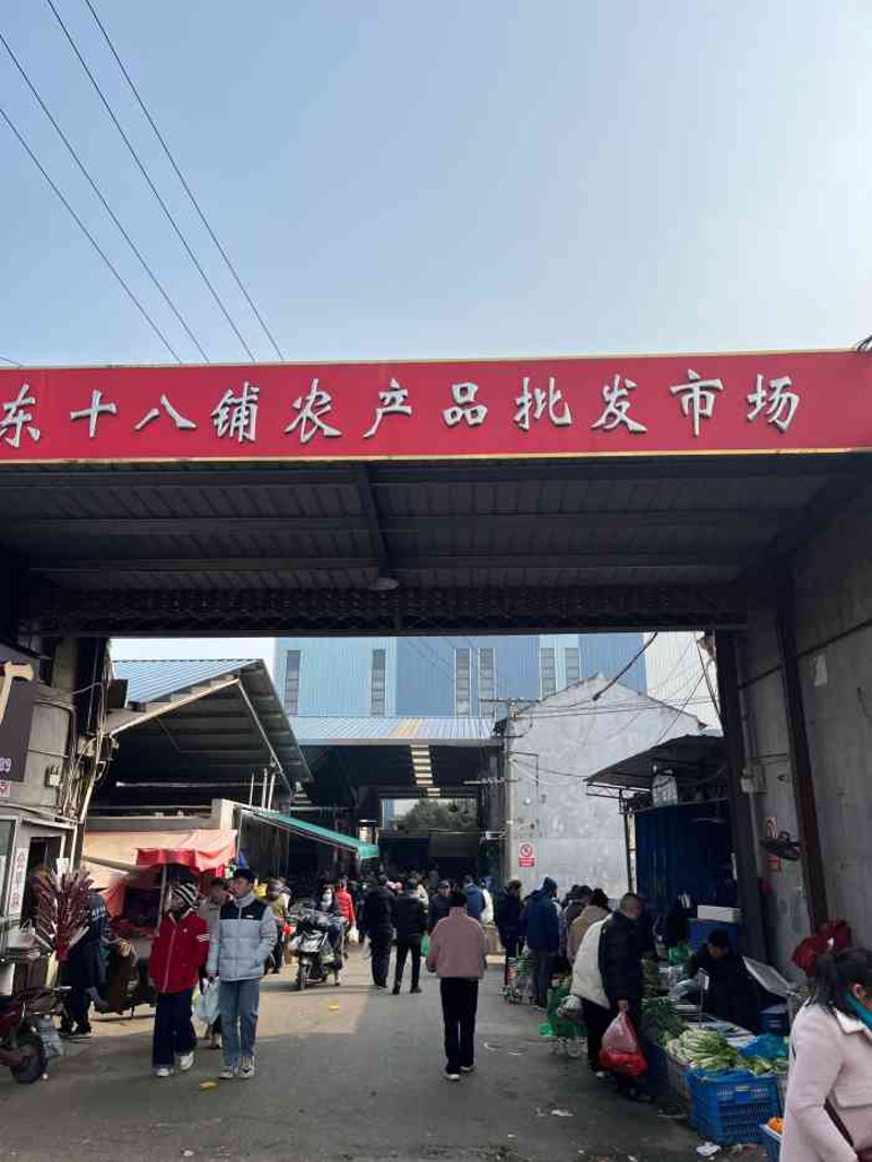 万国丰收林辉辉牧师讲道集：信仰与生活的融合
